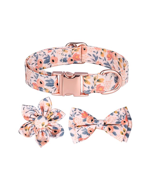 Unbranded Dog Collar wholesale case