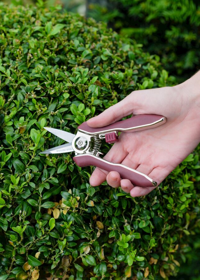 Kent Kent & Stowe Garden Life Pruning Snips wholesale case
