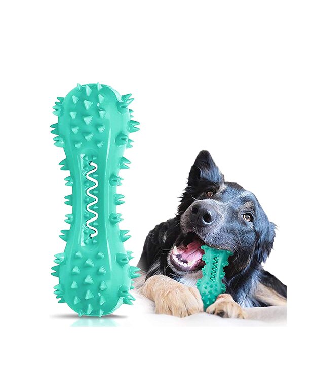 Toothbrush Toothbrush Dog Chew Toy, Stick Bone for Dog Teeth Cleaning wholesale case