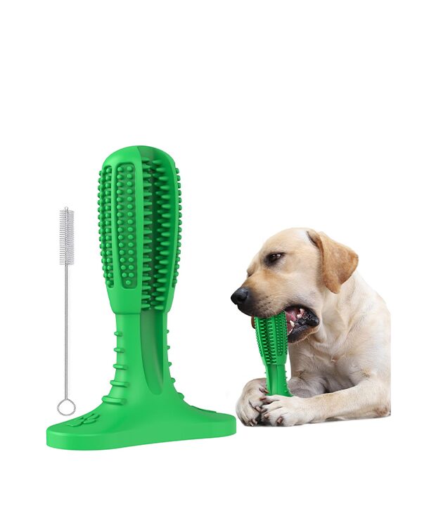 Unbranded Dog Chew Toys, Tough Durable Dog Toothbrush Toys wholesale case