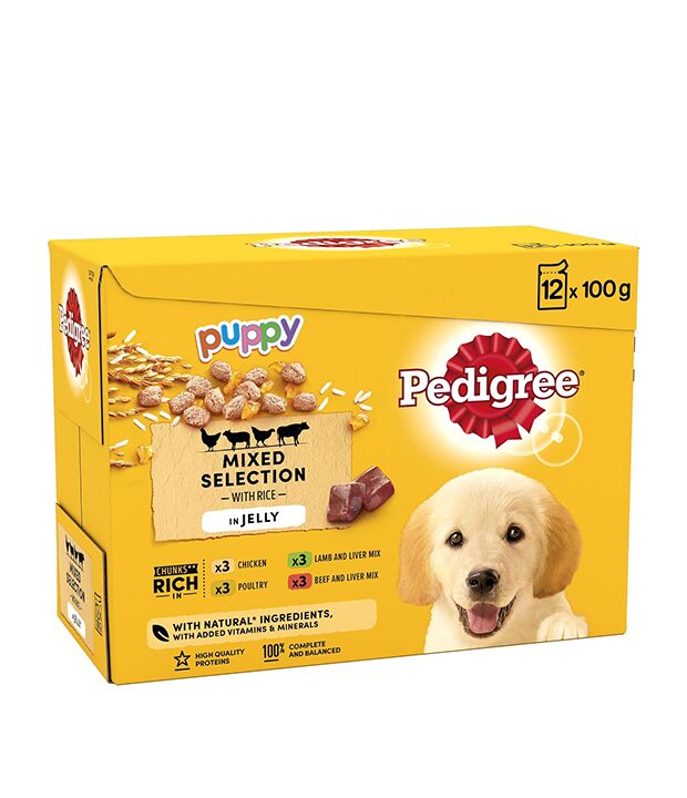 Pedigree Pedigree Junior Wet Dog Food for Young Dogs and Puppies 100g wholesale case
