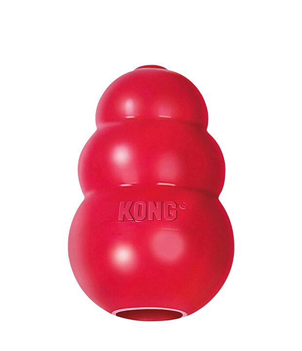 KONG Kong wholesale case