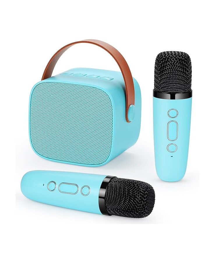 Duemste Duemste Karaoke Machine Kids with 2 Wireless Microphone wholesale case