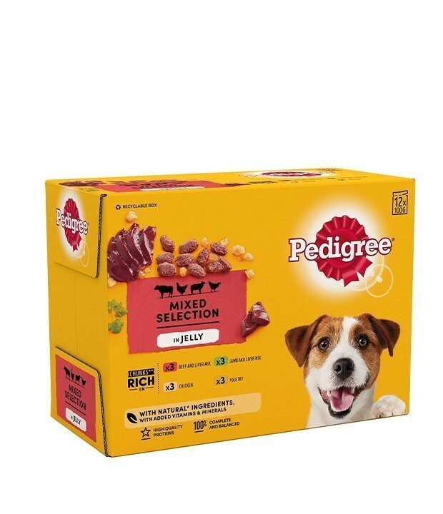 Pedigree Pedigree Wet Dog Food for Adult Dogs Pouches Mixed Selection in Jelly 100g wholesale case