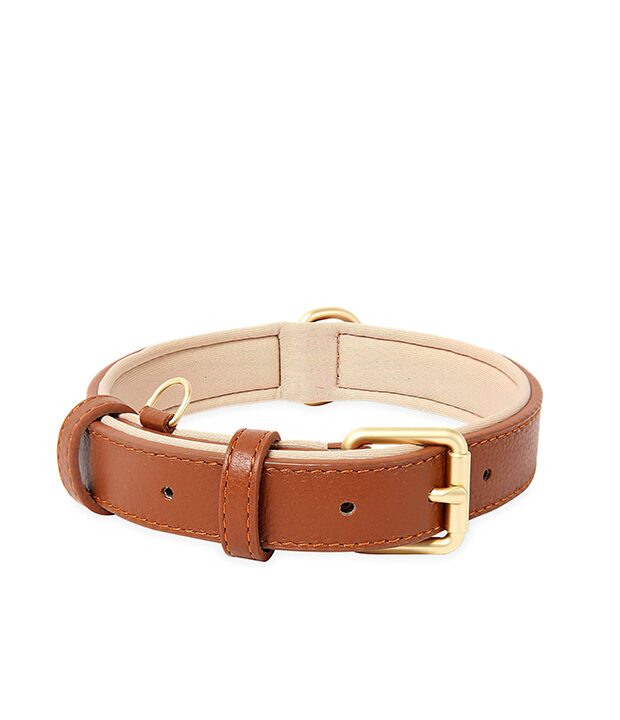 Heele Heele Soft Leather Dog Collar Puppy Small Dogs Breathable Padded with D Ring wholesale case